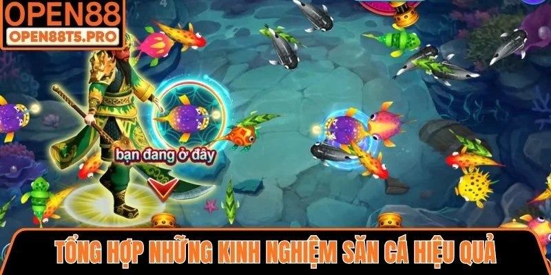 Kinh nghiệm săn cá hiệu quả