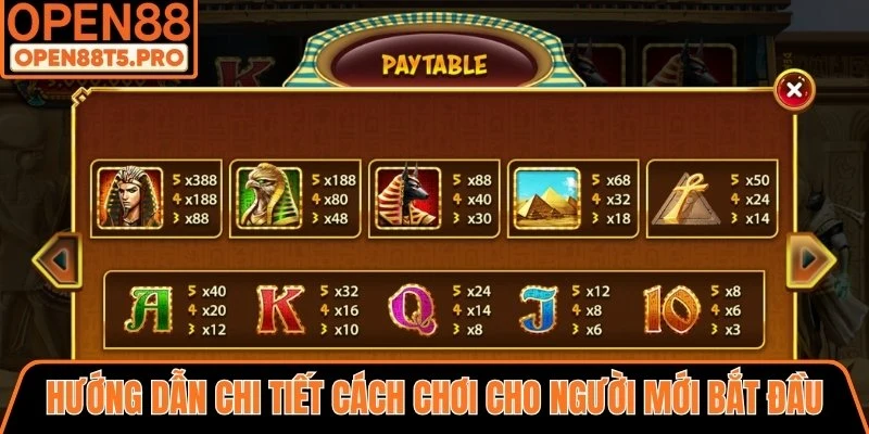 Hướng dẫn chi tiết cách chơi chi tiết cho người mới bắt đầu