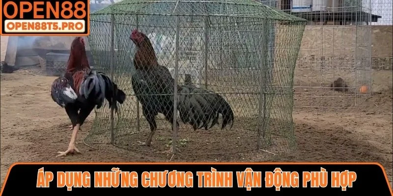 Chương trình vận động phù hợp