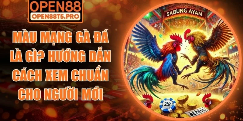 Màu mạng gà đá